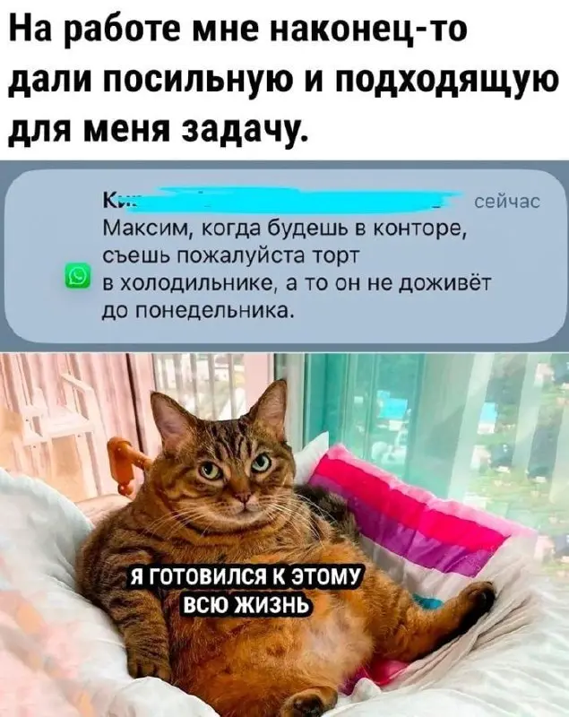 Справимся | Сетка — социальная сеть от hh.ru