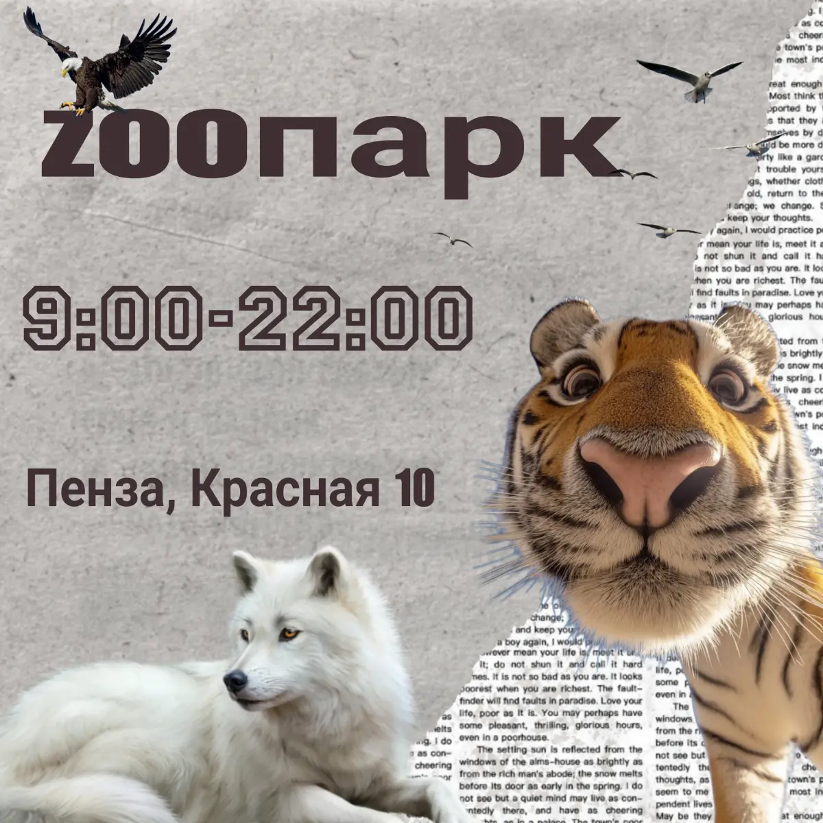 Афиша в интернет | Сетка — социальная сеть от hh.ru