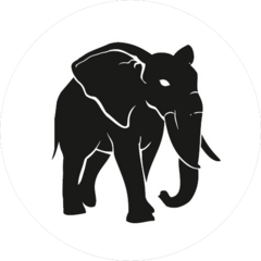 company logo
