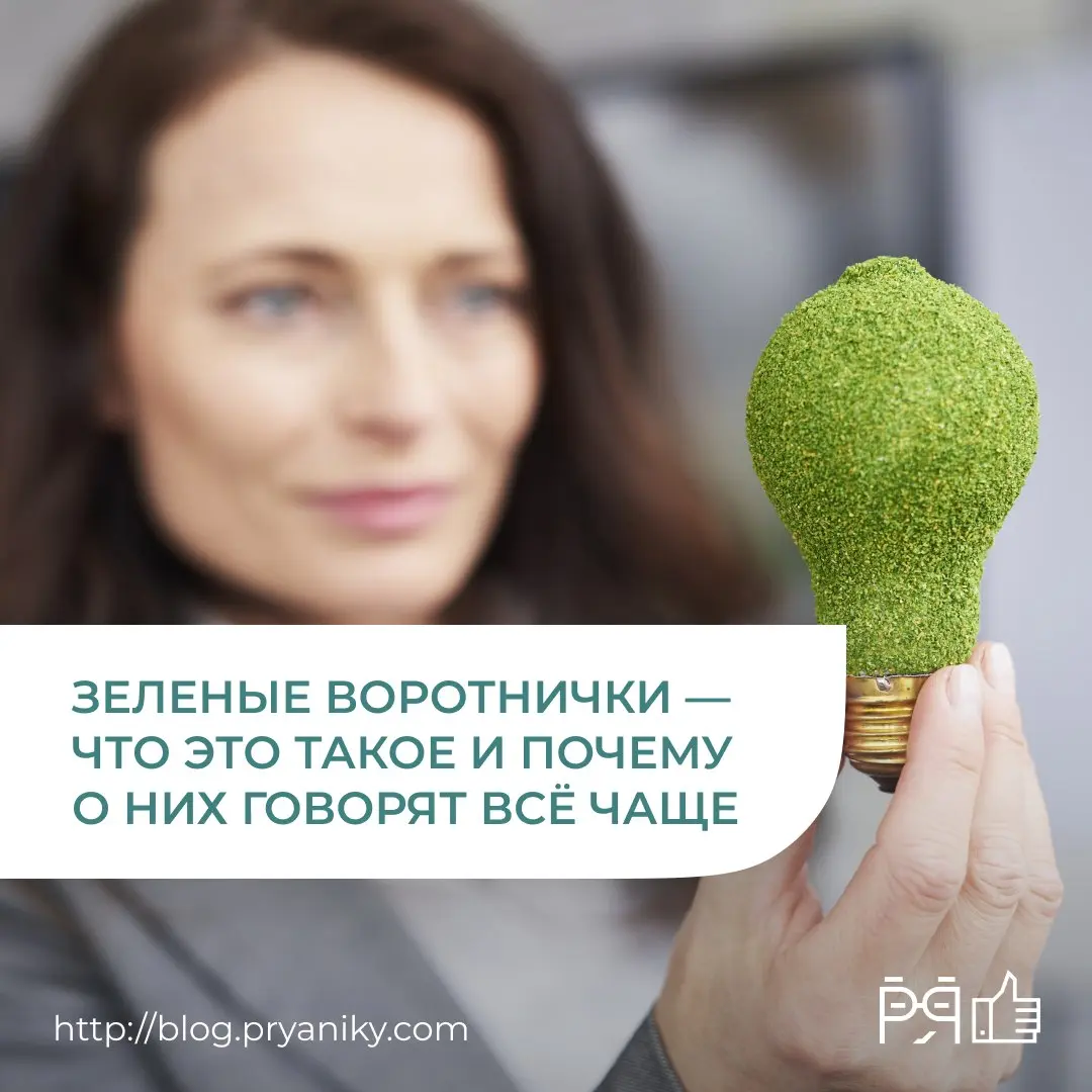 «Зелёные» профессии, ESG, устойчивое развитие — всё это уже давно вышло за пределы экологических проектов | Сетка — социальная сеть от hh.ru