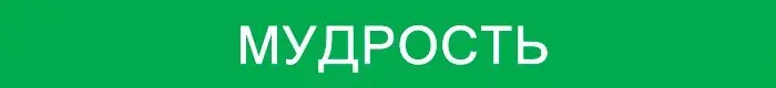 ✏️ Водоснабжение и канализация: - Каждый возраст имеет свои особые склонности, но человек всегда остается один и тот же | Сетка — социальная сеть от hh.ru