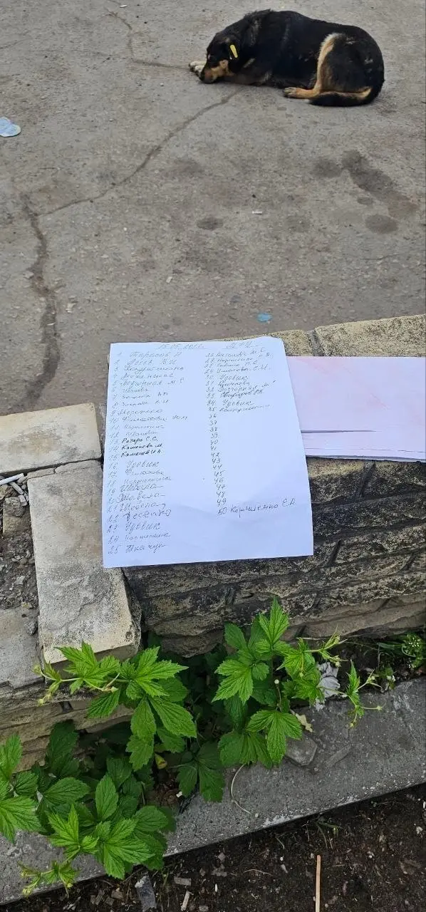 В МФЦ на Гвардейке снова конкурсы с очередью и списками. Это продолжается уже три недели — Сообщают жители | Сетка — социальная сеть от hh.ru