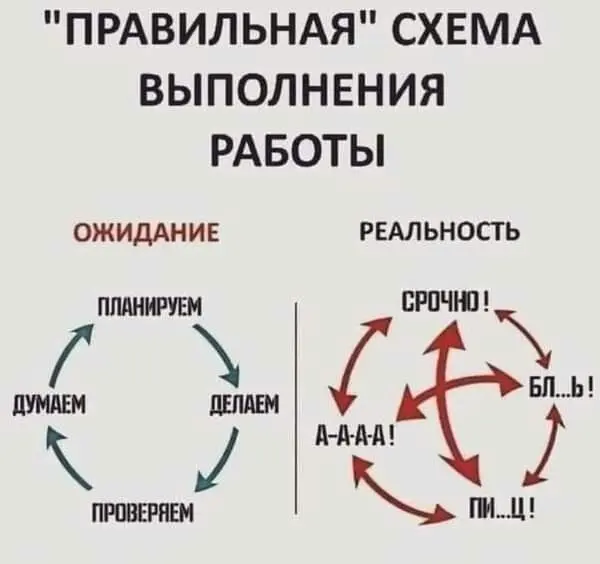 И такое бывает 🫣 | Сетка — социальная сеть от hh.ru