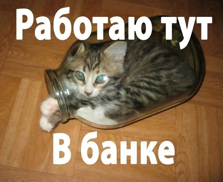 Баночный клерк | Сетка — социальная сеть от hh.ru