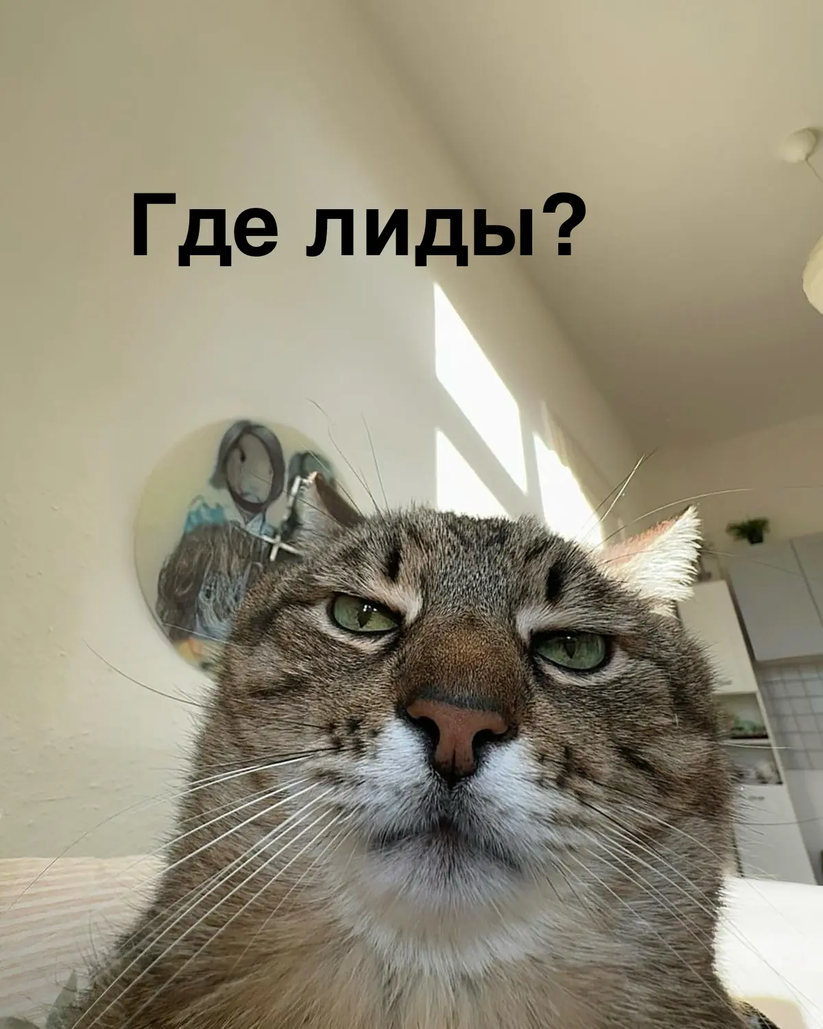 Как там поживает digital? | Сетка — социальная сеть от hh.ru