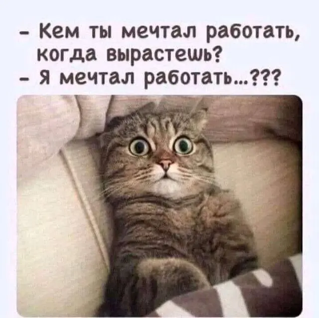 Начинаю вести дневник увольнения 😂 | Сетка — социальная сеть от hh.ru