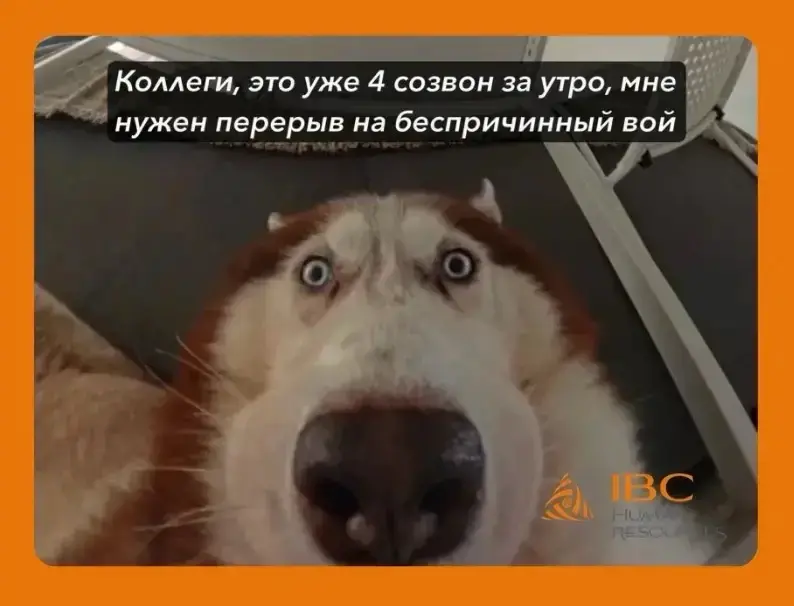 Как хаос в голове сменить на спокойствие | Сетка — социальная сеть от hh.ru
