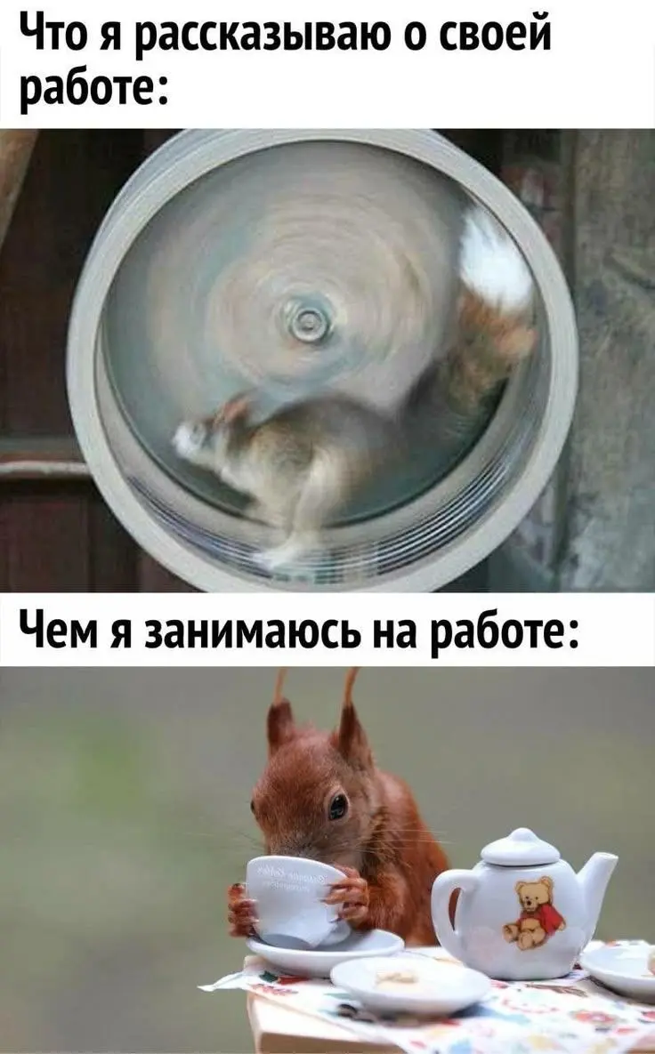 Знакомо?) | Сетка — социальная сеть от hh.ru