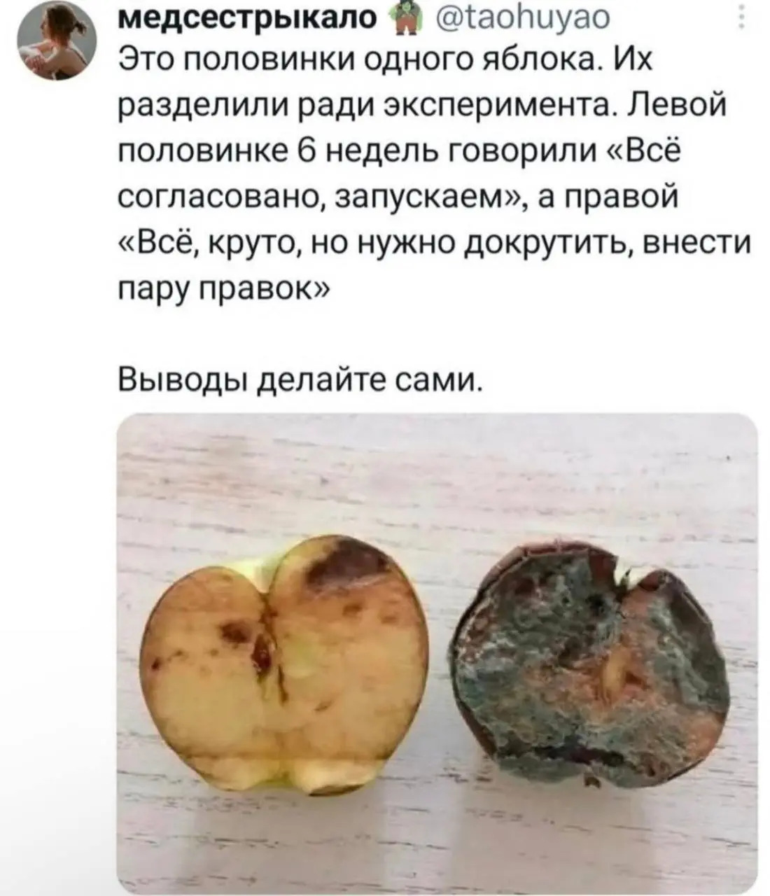 #true | Сетка — социальная сеть от hh.ru