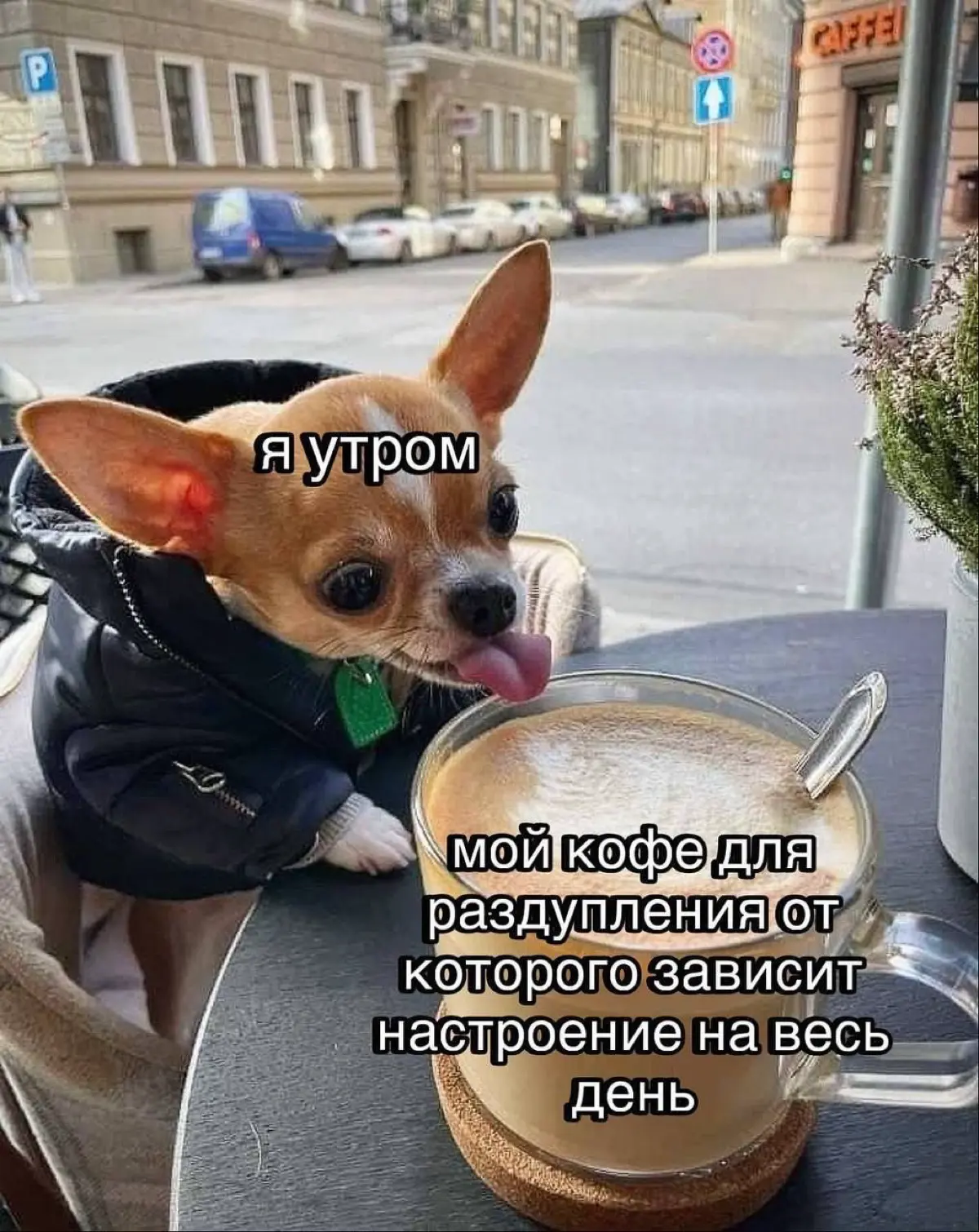 Алгоритмы против вас ?! | Сетка — социальная сеть от hh.ru
