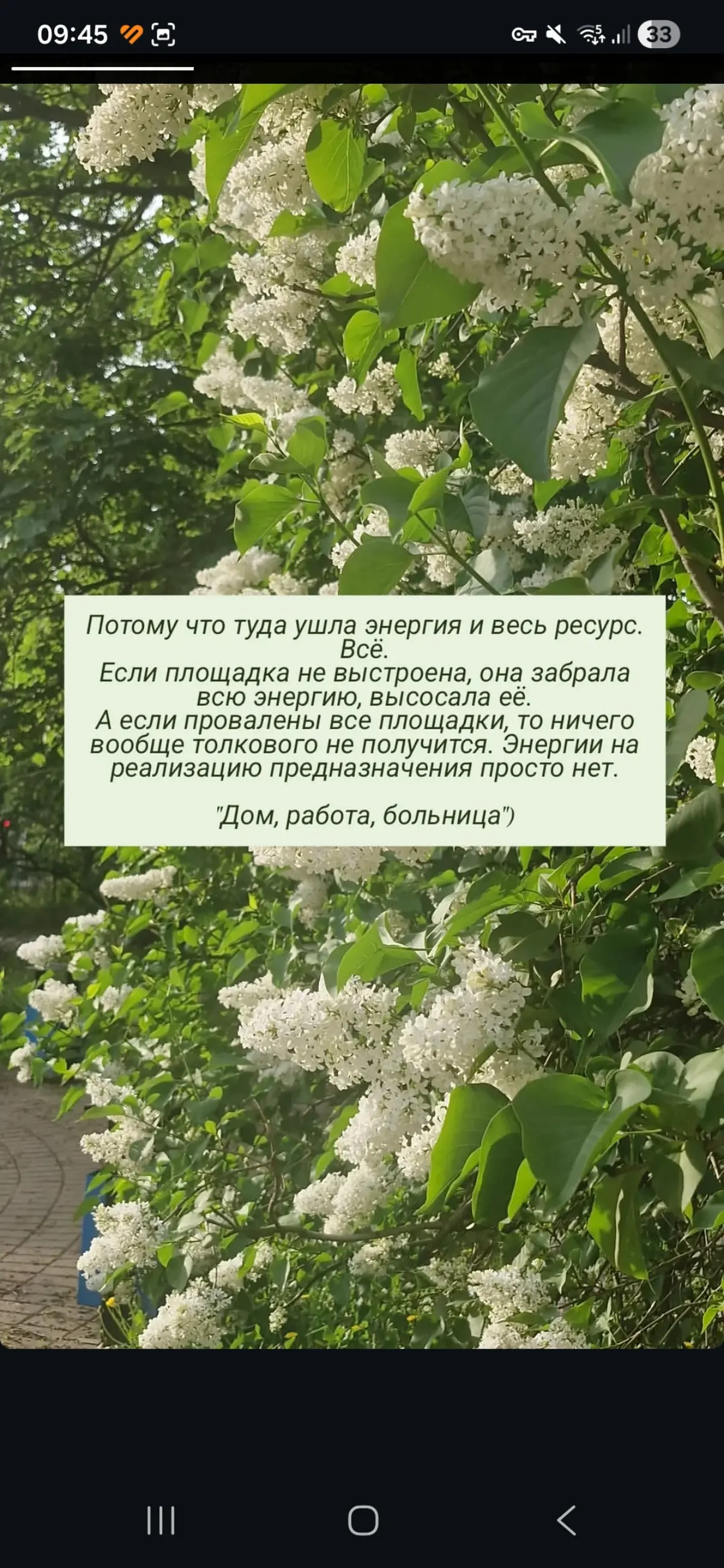 Что делаю я. Часть 2 🩷
#психология #осознанность | Сетка — социальная сеть от hh.ru