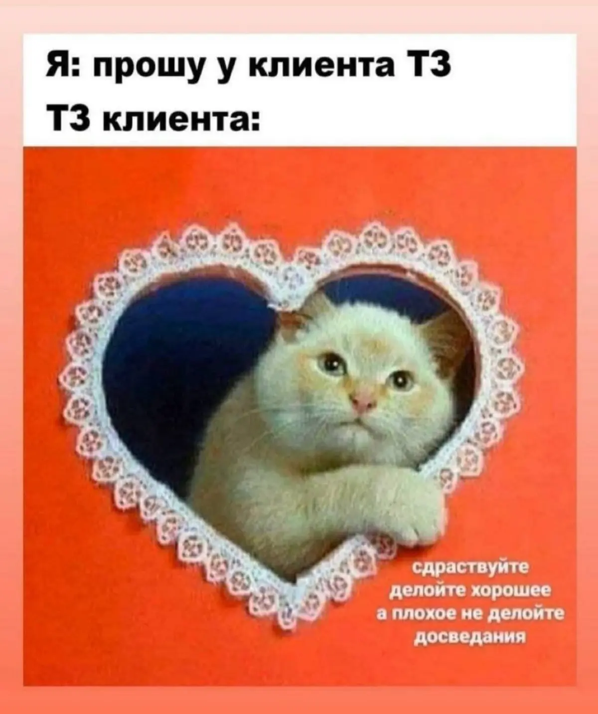 Приятности в картинках для отдела продаж (и не только) | Сетка — социальная сеть от hh.ru