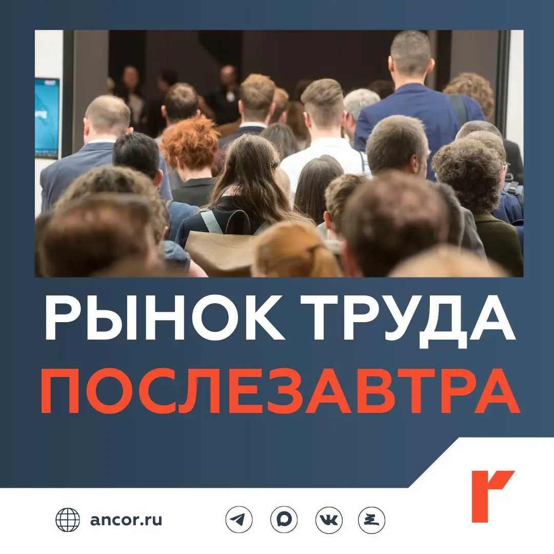 🔮 Какие специалисты пополнят рынок труда через 5 лет | Сетка — социальная сеть от hh.ru