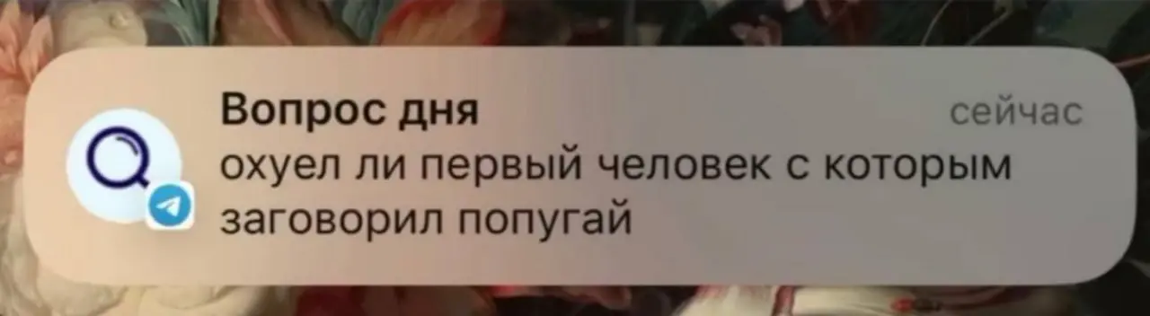 Вопрос дня | Сетка — социальная сеть от hh.ru