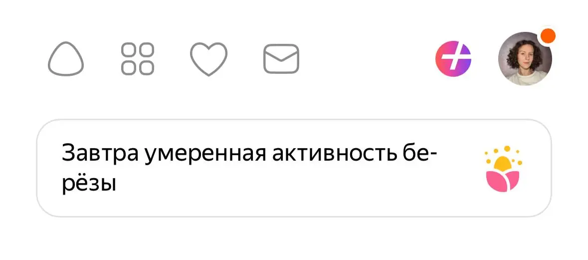 Ну вот, даже у бе-
рёзы умеренная активность
А мы пашем🫡 | Сетка — социальная сеть от hh.ru