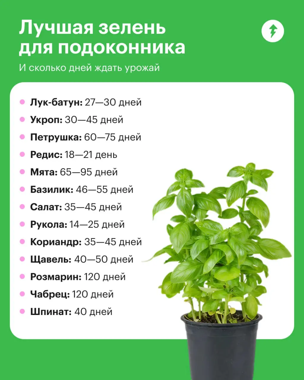 🪴🧅🪴🥬🪴🌱🪴
⚡️ Зеленый курс для зеленых домов
#уют | Сетка — социальная сеть от hh.ru
