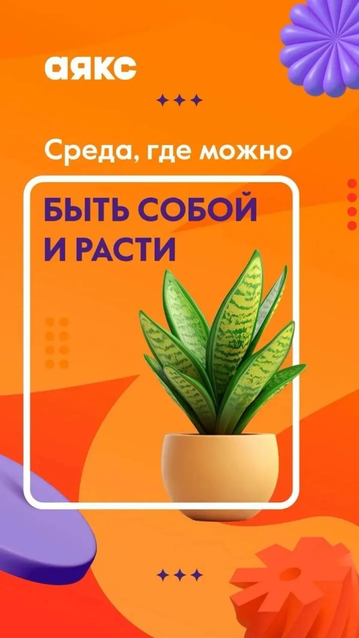 Приглашаю в команду | Сетка — социальная сеть от hh.ru