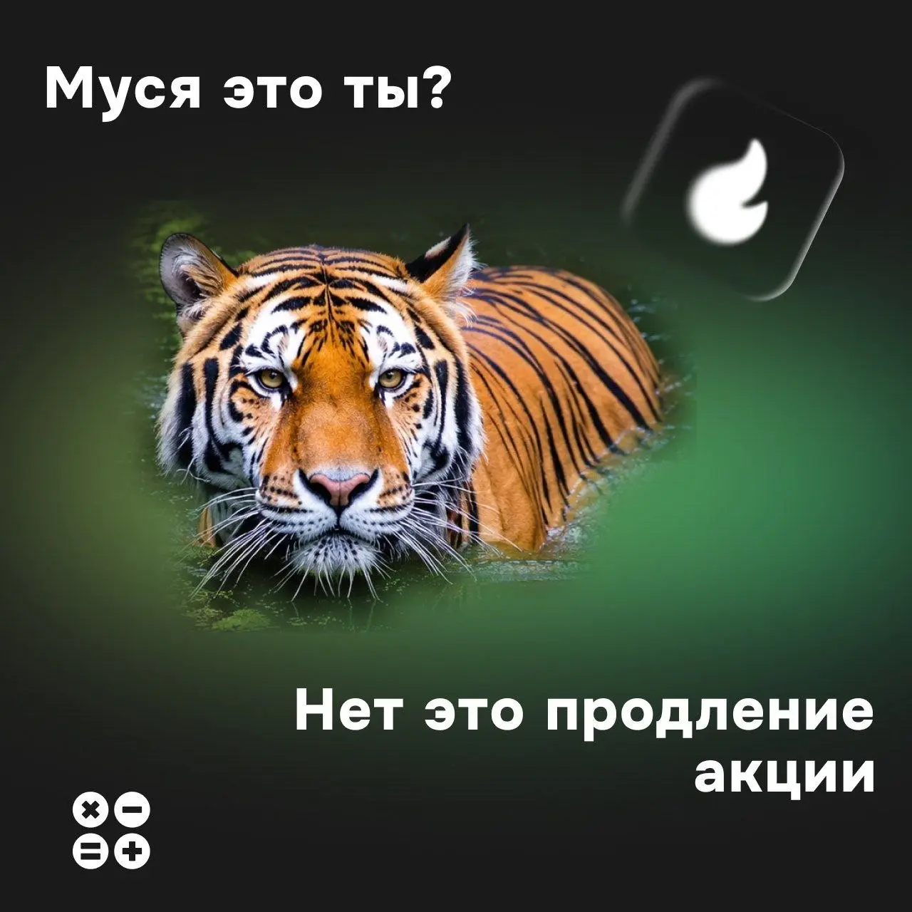Забыла поделиться, но еще не поздно)
Если вашим клиентам, партнерам, друзьям или вам лично есть необходимость принимать легально оплату с выдачей чеков, и автоматической передачей данных в ФНС, то вам... | Сетка — социальная сеть от hh.ru