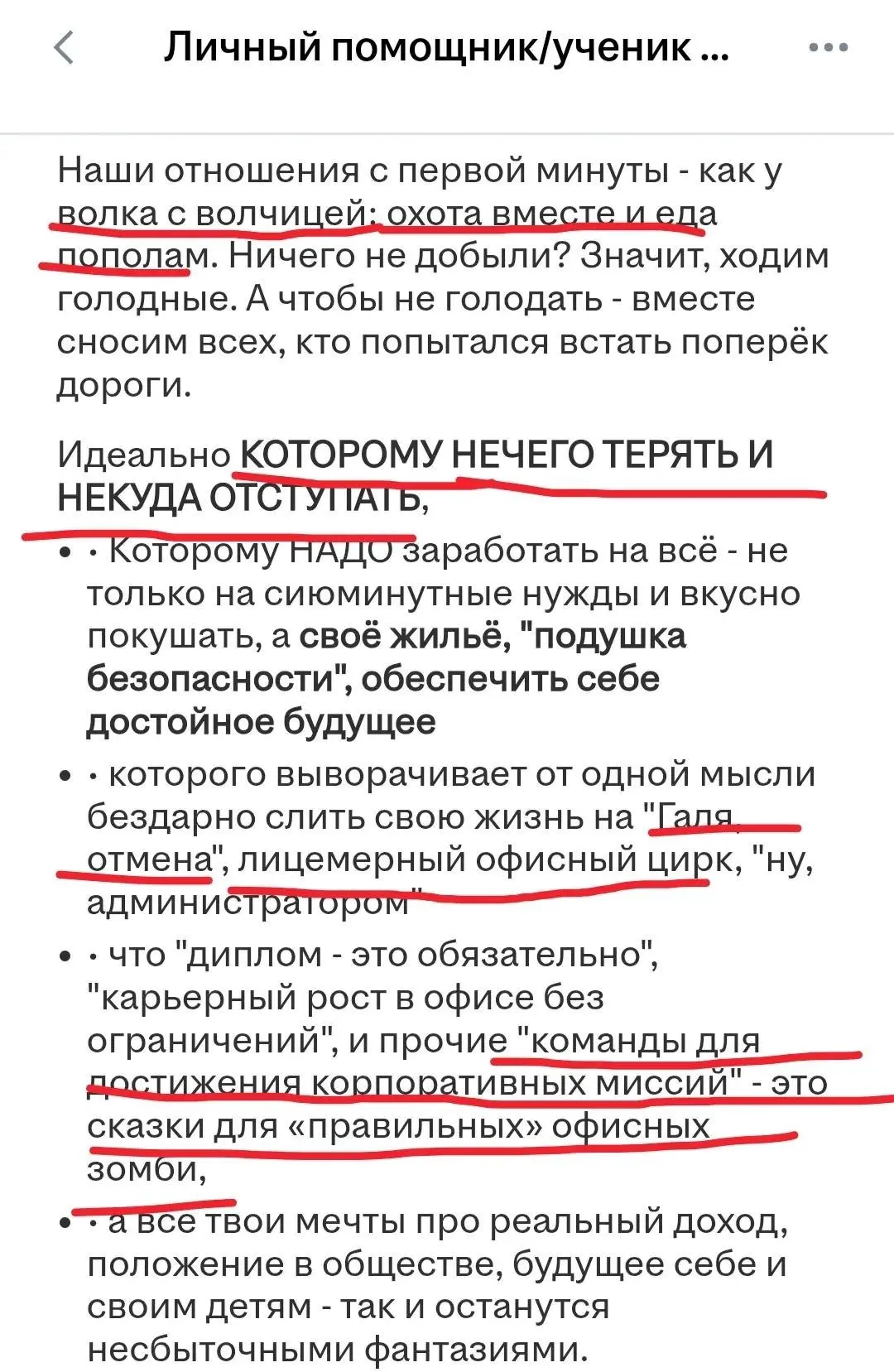 Помощницу с характером Че Гевары и полным отсутствием страха перед жизнью ищет краснодарский бизнесмен | Сетка — социальная сеть от hh.ru