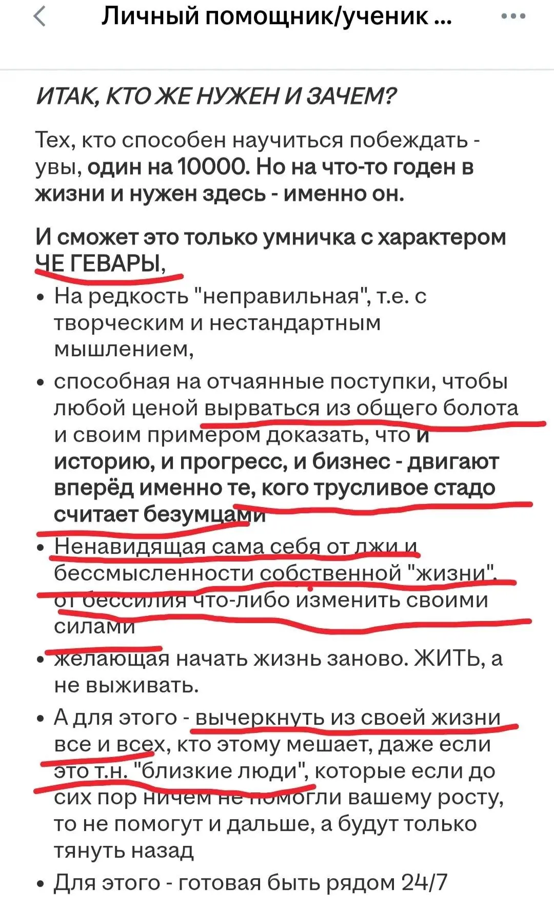 Помощницу с характером Че Гевары и полным отсутствием страха перед жизнью ищет краснодарский бизнесмен | Сетка — социальная сеть от hh.ru
