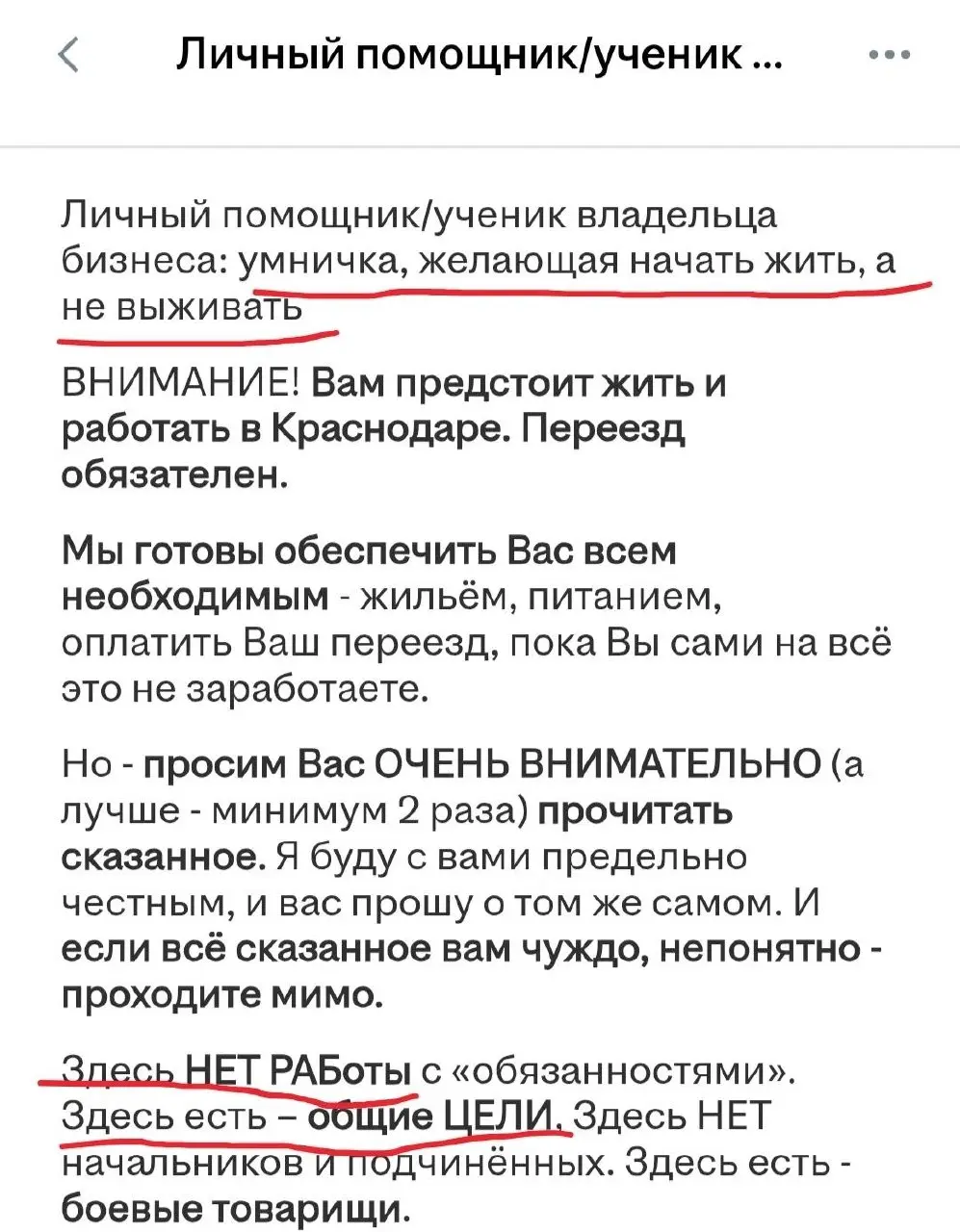 Помощницу с характером Че Гевары и полным отсутствием страха перед жизнью ищет краснодарский бизнесмен | Сетка — социальная сеть от hh.ru