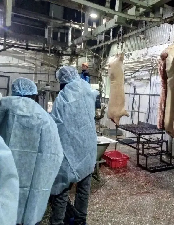 Школьникам из Краснодарского края предложили фото на фоне туш свиней после экскурсии на скотобойню.
14-летним детям показали убойный цех, часть из них отказалась заходить — увиденное шокировало | Сетка — социальная сеть от hh.ru