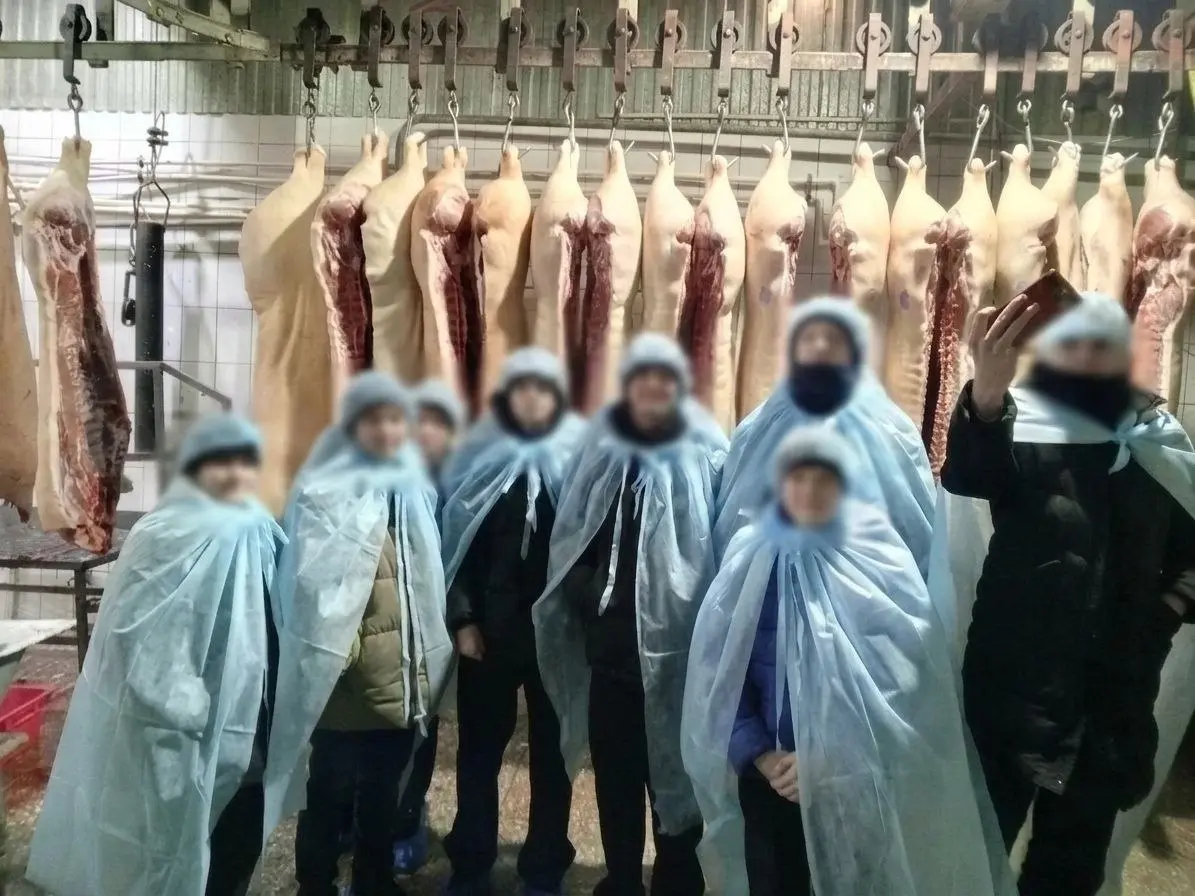 Школьникам из Краснодарского края предложили фото на фоне туш свиней после экскурсии на скотобойню.
14-летним детям показали убойный цех, часть из них отказалась заходить — увиденное шокировало | Сетка — социальная сеть от hh.ru