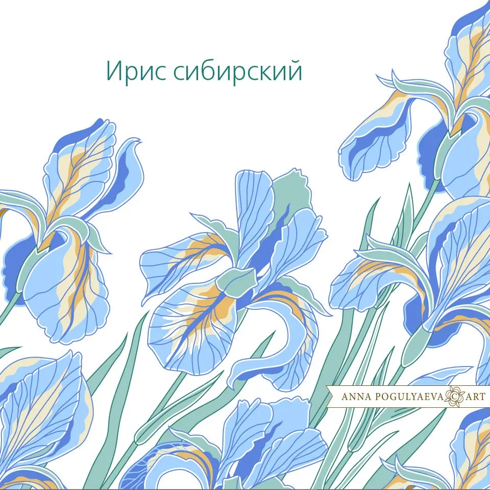 Ботаника в векторной иллюстрации | Сетка — социальная сеть от hh.ru