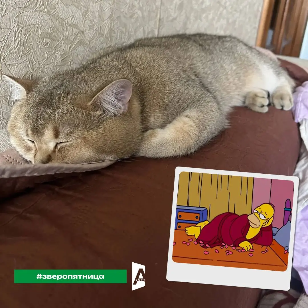 #Зверопятница
В продолжение темы про «выгорание» (смотри предыдущий пост 👀) держи блок про домашних «стражей» нашего work-life balance 😎
1️⃣ Принудительный перерыв | Сетка — социальная сеть от hh.ru