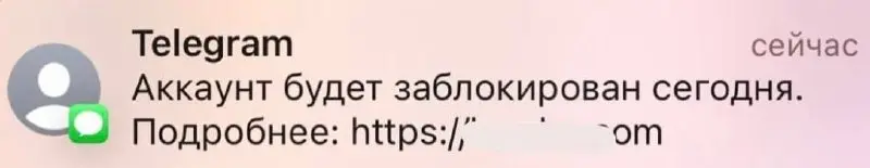 Новый способ мошенничества в телеграм
Хотя нет, даже не в телеге, но явно от её имени | Сетка — социальная сеть от hh.ru