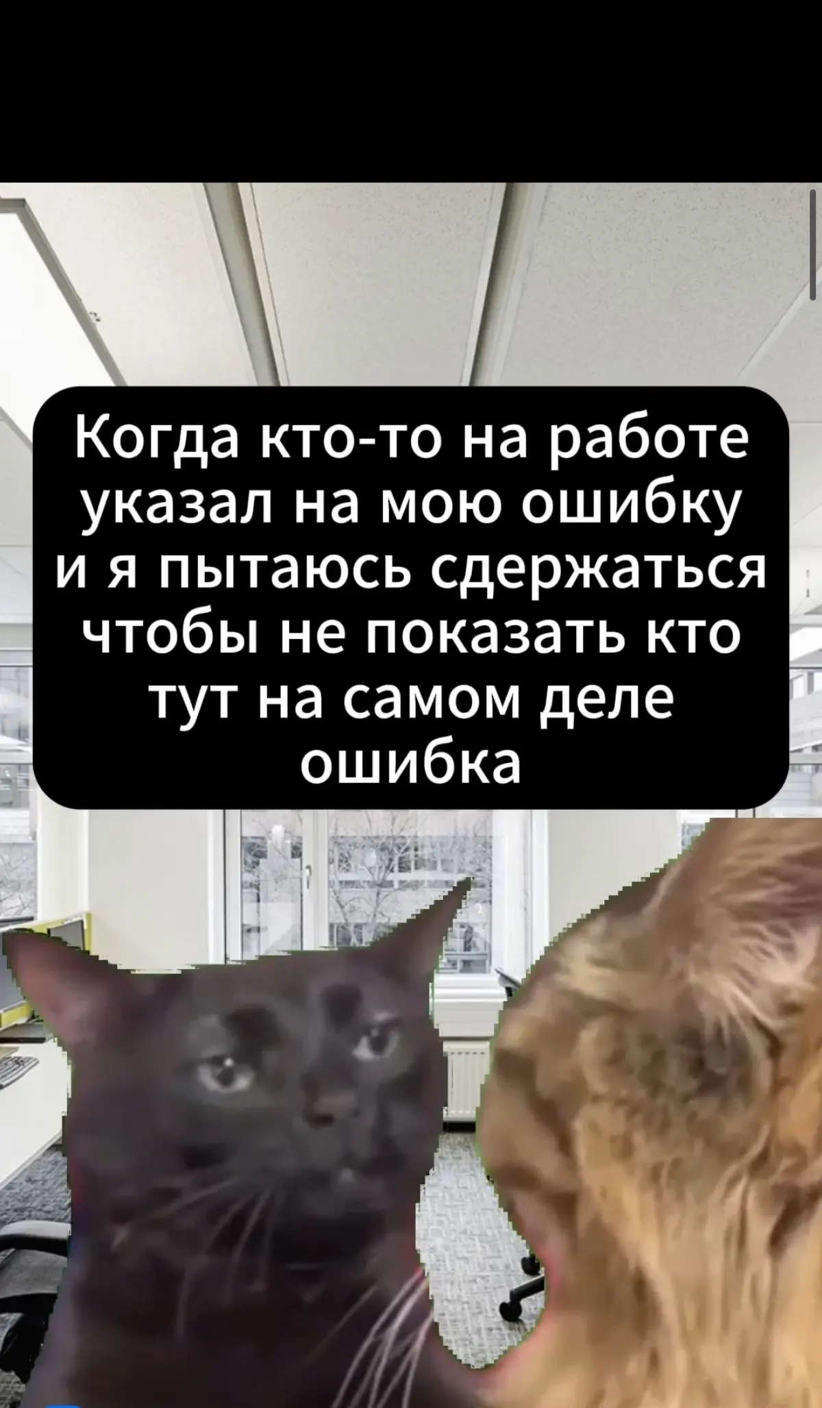 мемы собирают в разы больше просмотров чем резюме.. это многое говорит об обществе..
.
ну держите еще и признавайтесь у кого было? | Сетка — социальная сеть от hh.ru