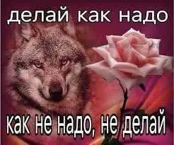 Когда попросили короткий отчет по пентесту | Сетка — социальная сеть от hh.ru