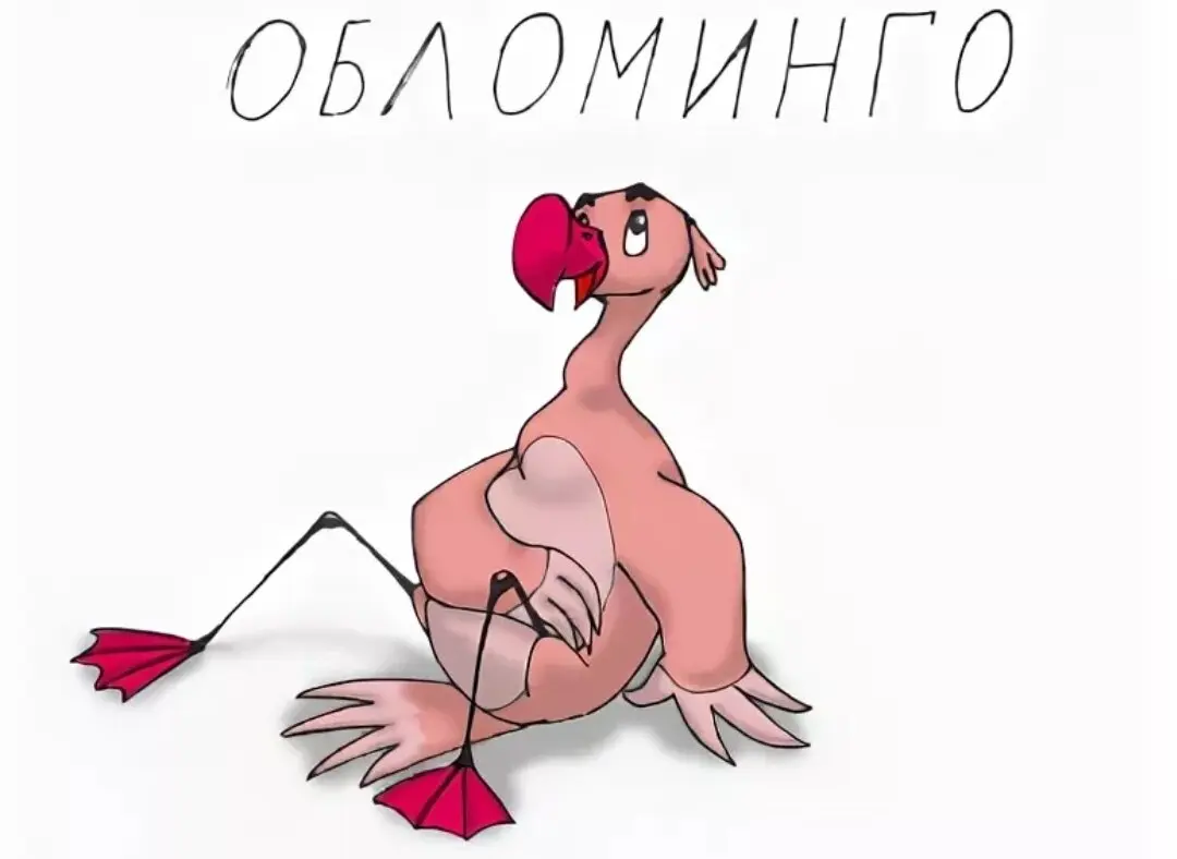 ОБЛОМ | Сетка — социальная сеть от hh.ru