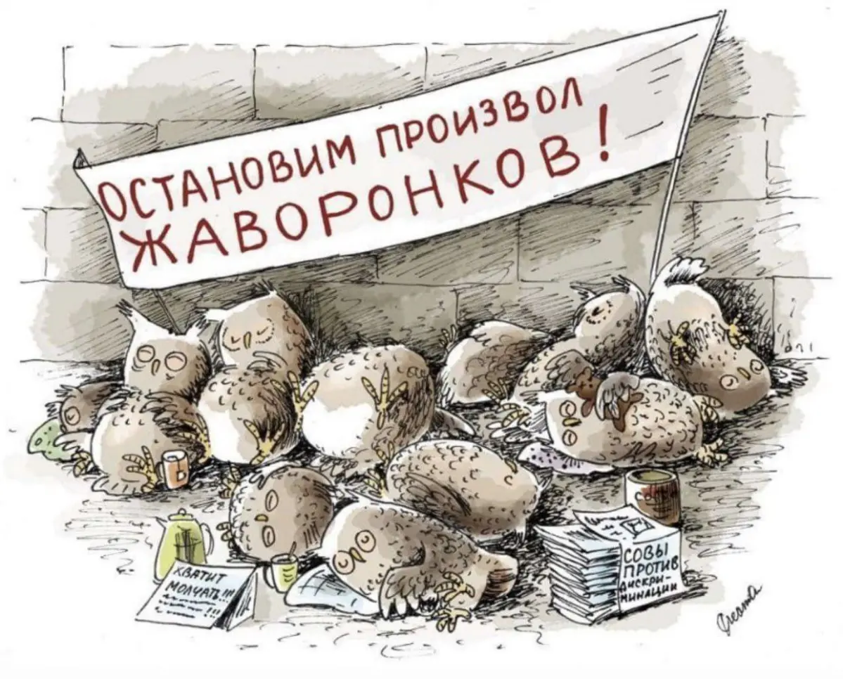 Люди-Совы | Сетка — социальная сеть от hh.ru