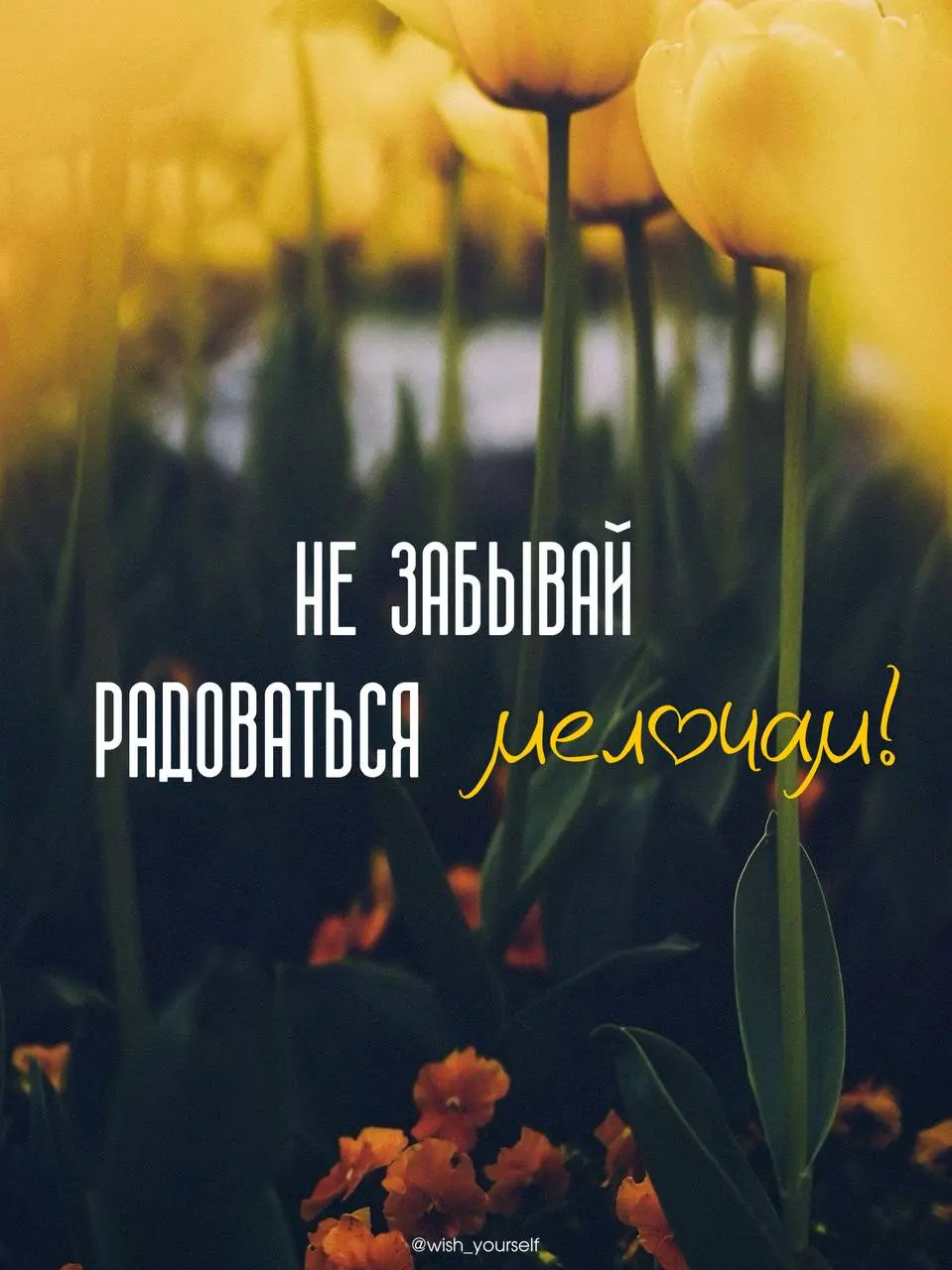Доброе утро и хороших вам выходных! 💋 | Сетка — социальная сеть от hh.ru