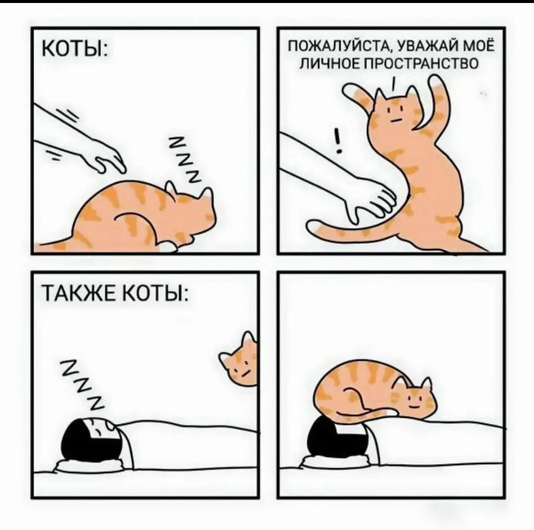 Двойные стандарты 😂
#Юмор@poldner #Коты@poldner | Сетка — социальная сеть от hh.ru