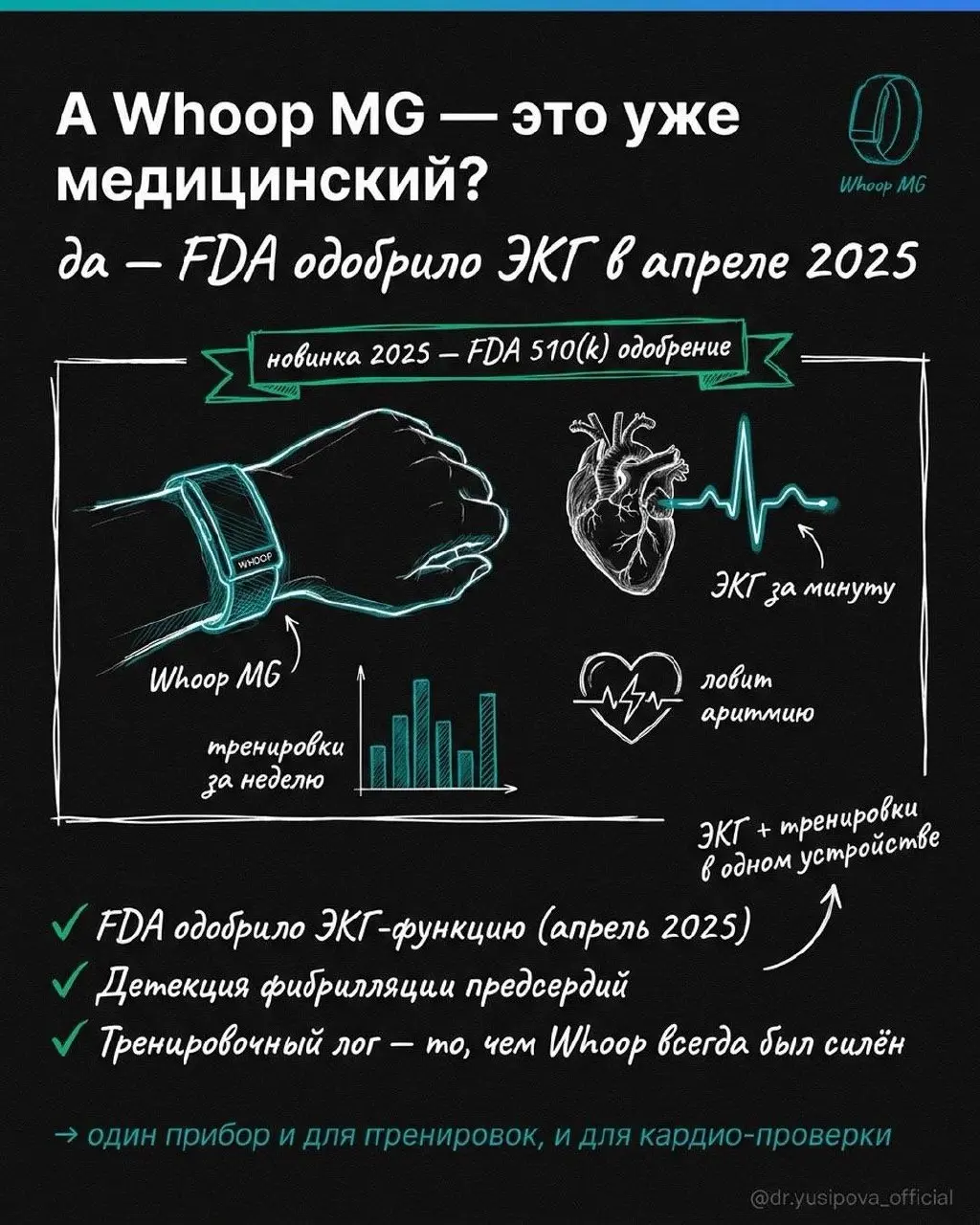 Попался удобный разбор гаджетов для трекинга здоровья. Девушка – выбирает Cartier, женщина – выбирает умное кольцо…
Нужна помощь, нужны советы!
Выбираю между Oura и Ultrahuman | Сетка — социальная сеть от hh.ru