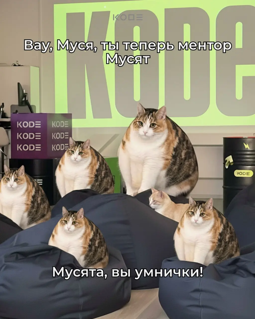 О НЕТ! КОШКА МУСЯ ПРОПАЛА😭
Спокойно! Муся не пропала — Муся выросла.
Кошка Муся стала разработчиком | Сетка — социальная сеть от hh.ru