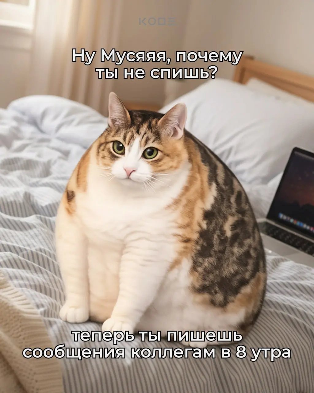 О НЕТ! КОШКА МУСЯ ПРОПАЛА😭
Спокойно! Муся не пропала — Муся выросла.
Кошка Муся стала разработчиком | Сетка — социальная сеть от hh.ru
