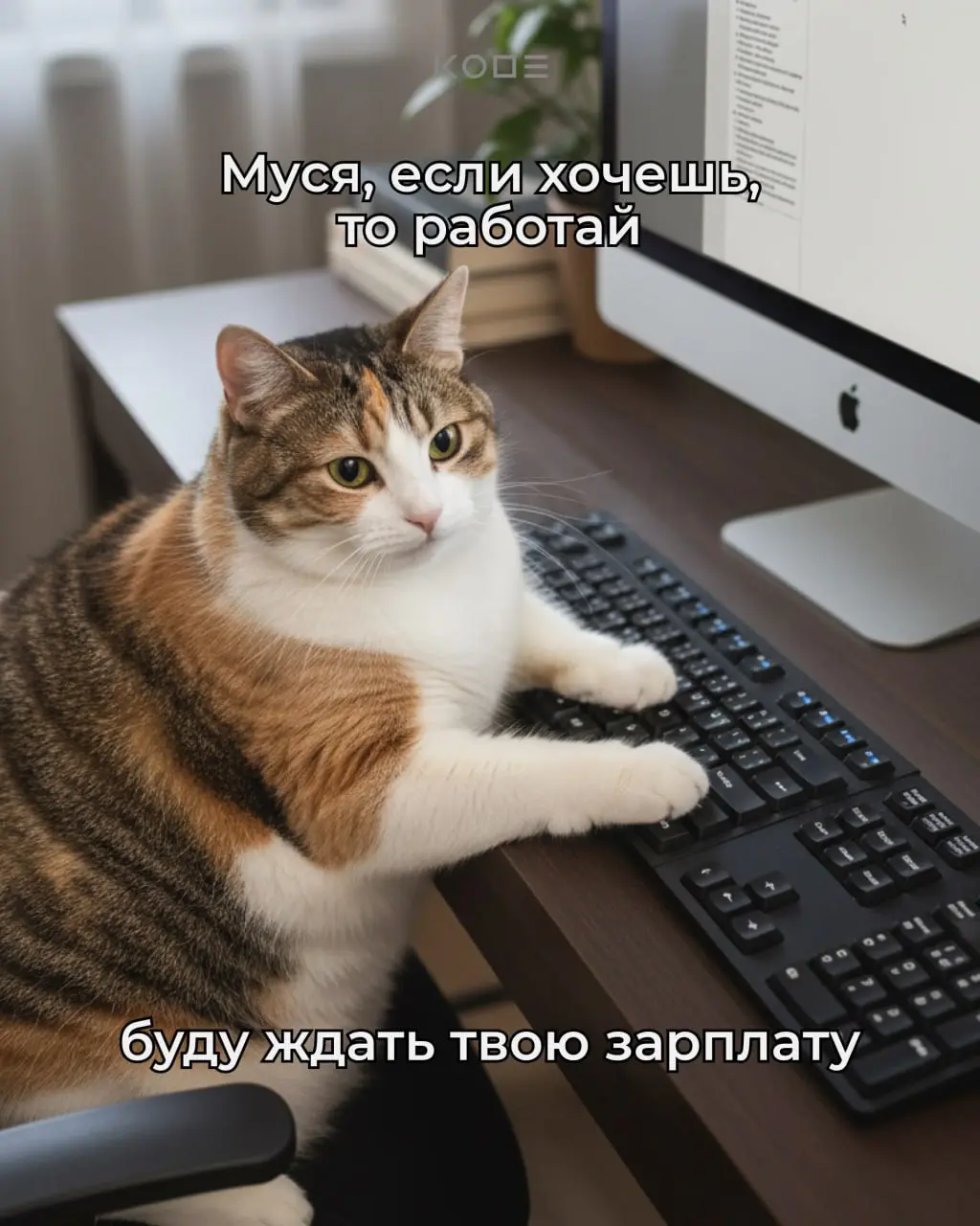 О НЕТ! КОШКА МУСЯ ПРОПАЛА😭
Спокойно! Муся не пропала — Муся выросла.
Кошка Муся стала разработчиком | Сетка — социальная сеть от hh.ru