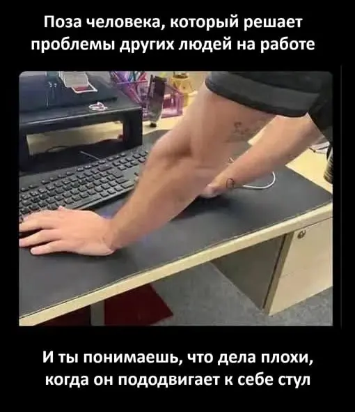 Главный поставщик жизы в твой Telegram. Подписывайся 💊 | Сетка — социальная сеть от hh.ru