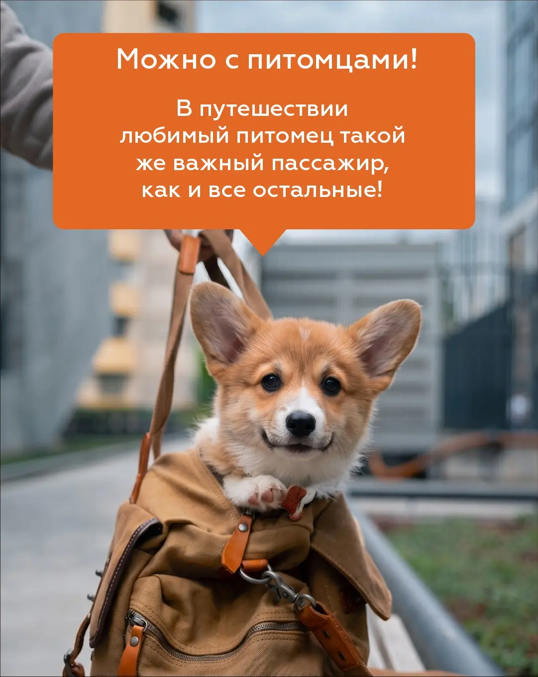 🤔 Почему стоит останавливаться в отелях сети 3А? | Сетка — социальная сеть от hh.ru