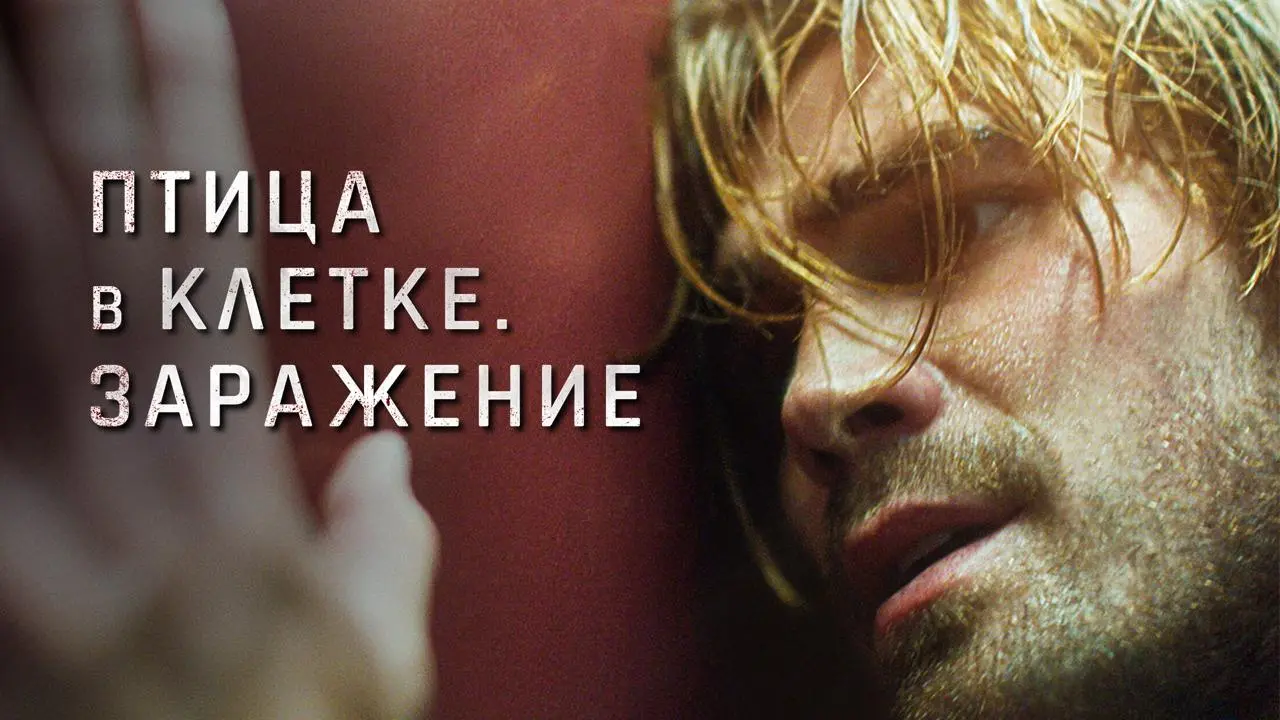 Фильм на выходные: Птица в клетке: Заражение
В связи с раздуванием новой пондемии, вспоминается как это было и история так себе конечно | Сетка — социальная сеть от hh.ru