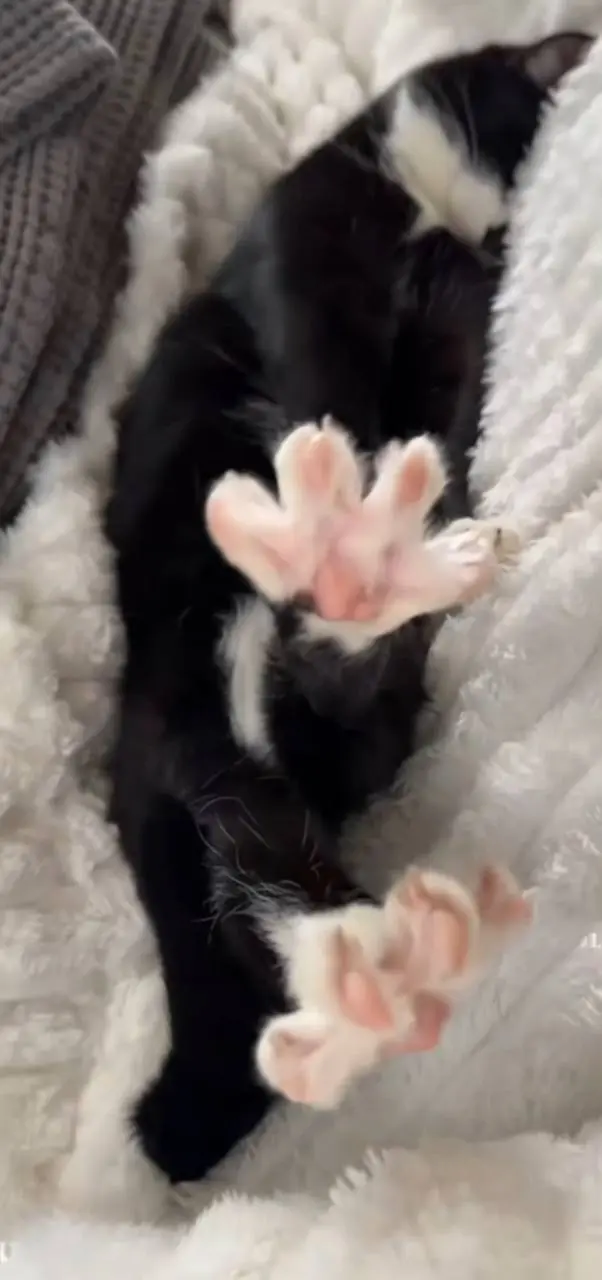 Полностью оправдан 😍
Рубрика мемная суббота
https://t.me/yulianasyrova/729 | Сетка — социальная сеть от hh.ru
