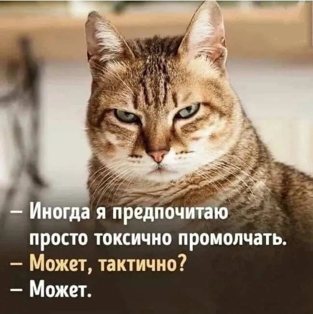 Как мы внедрили "токсичное молчание" | Сетка — социальная сеть от hh.ru