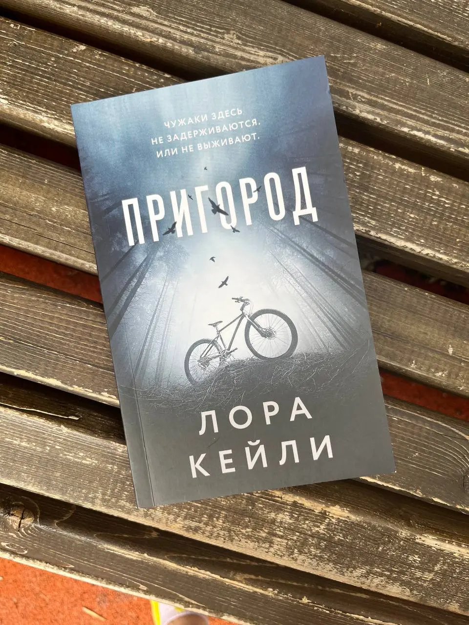 сегодня выходные, хочется чего-то легкого и интригующего - взяла читать «Пригород» Лоры Кейли
аннотация
Куда бы ни приехала семья Хансонов, их сын Джиджи, сам того не желая, предчувствует приближение ... | Сетка — социальная сеть от hh.ru