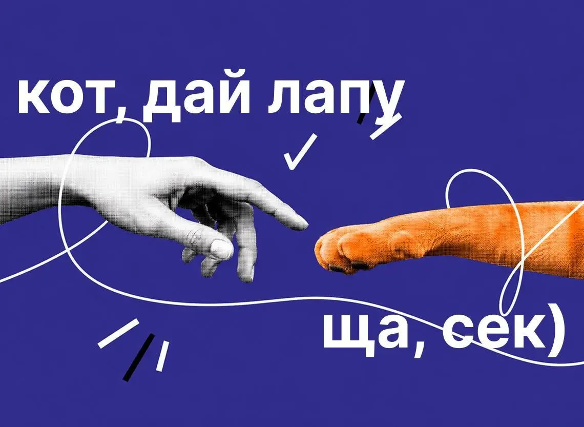 Российские депутаты, кажется, делают чёт оч полезное 🐈🐈 | Сетка — социальная сеть от hh.ru
