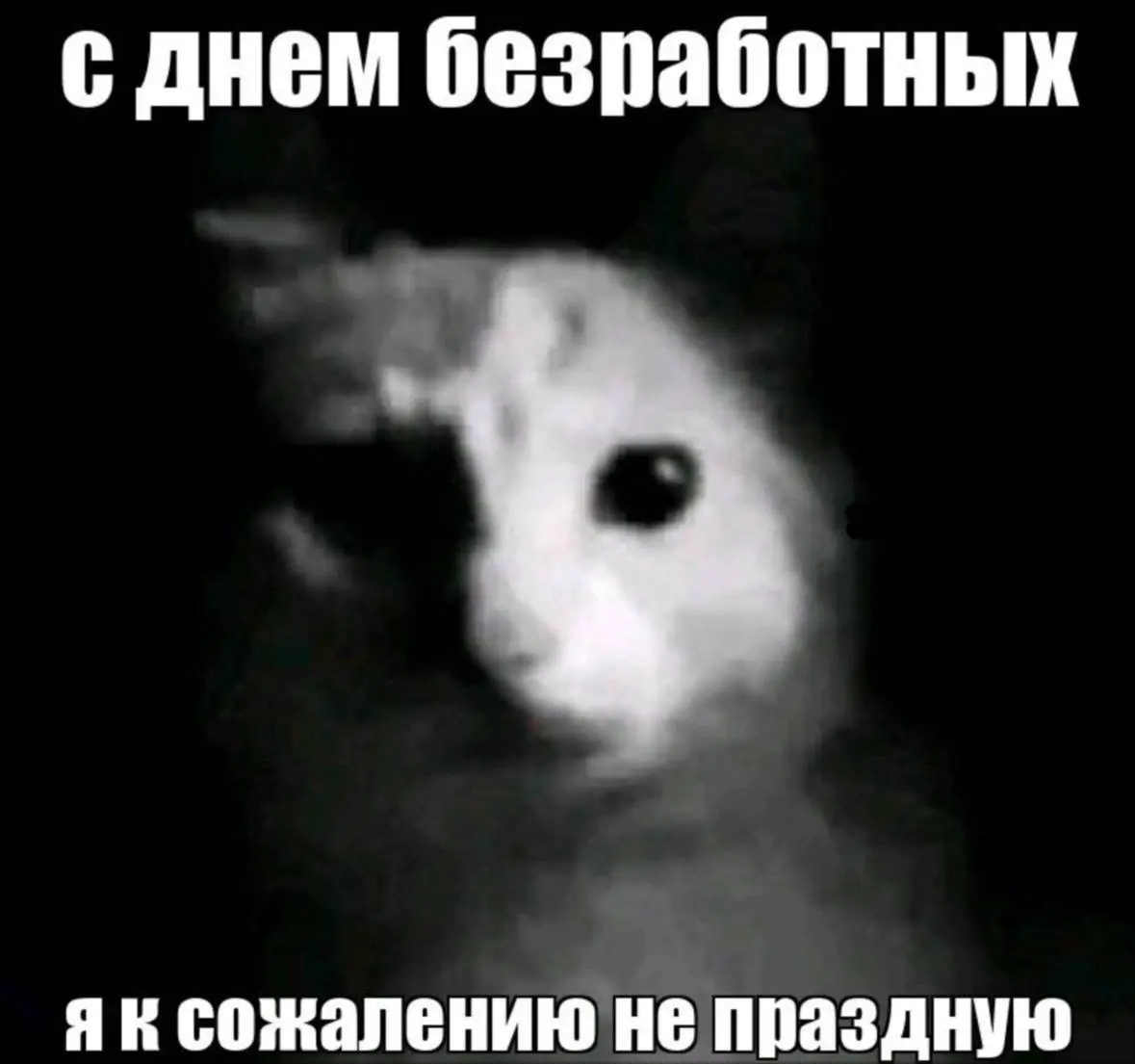 С праздником "всех" | Сетка — социальная сеть от hh.ru