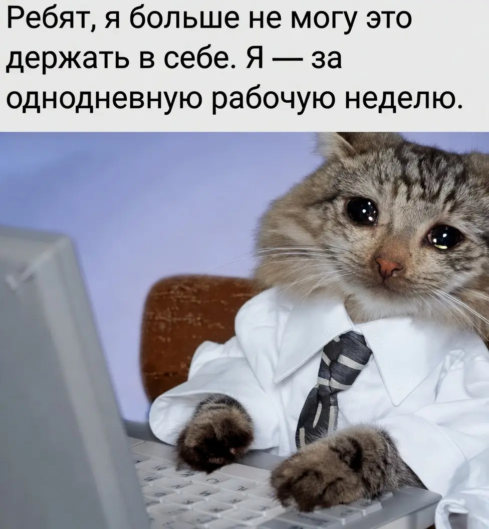 Где подписать петицию? 😎
Все вакансии тут
#работа #GdeRabota #вакансии
Изображение сгенерировано ИИ | Сетка — социальная сеть от hh.ru