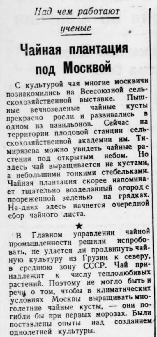 Я тут намедни, рассказывая о «Размышлениях о чае» Тан Яня и комментируя его впечатления от посещения чайной к западу от моста Датун, отметил, среди прочего, что стиль изложения этих впечатлений ничем ... | Сетка — социальная сеть от hh.ru